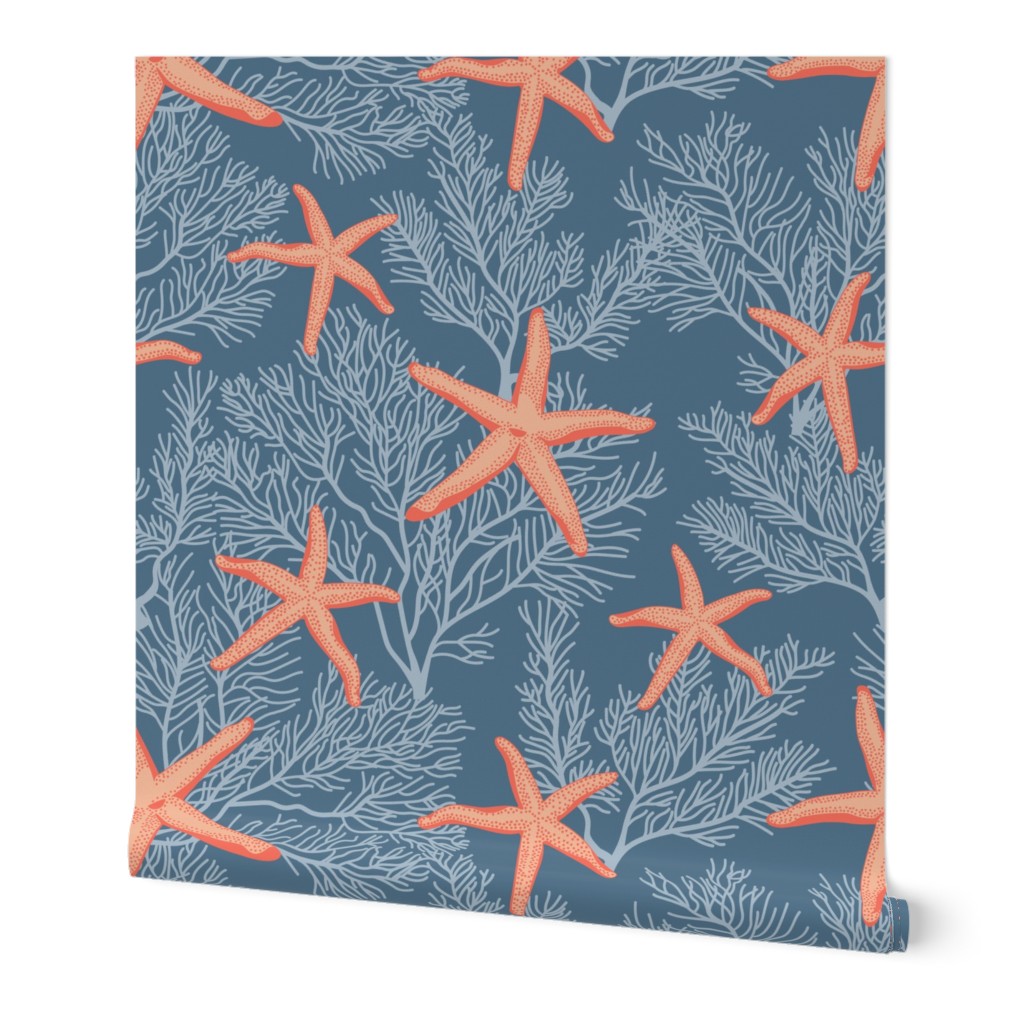 Starfishes on admiral blue