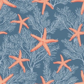 Starfishes on admiral blue