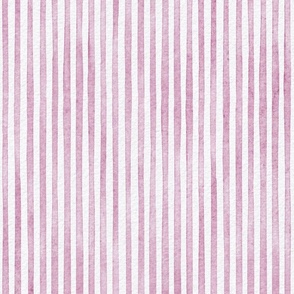 watercolor pink stripe - peony color - botanical peony pink stripe wallpaper