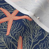 Starfishes on classic navy blue