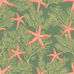 Starfishes on seaweed green
