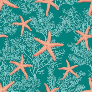 Starfishes on sea green