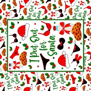 Large 27x18 Panel I Put Out for Santa Funny Sarcastic Christmas Milk and Cookies for Wall Hanging or Tea Towel