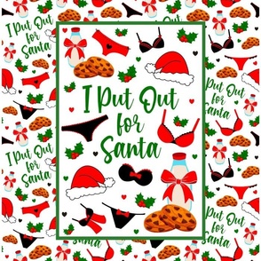 14x18 Panel I Put Out for Santa Funny Sarcastic Christmas Milk and Cookies for DIY Garden Flag Small Wall Hanging or Tea Towel