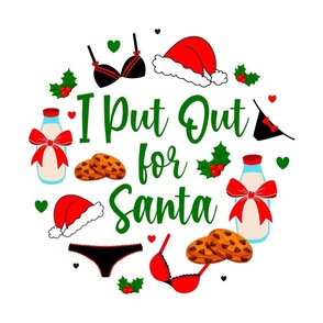 18x18 Panel I Put Out for Santa Funny Sarcastic Christmas Milk and Cookies for DIY Throw Pillow Cushion Cover or Tote Bag