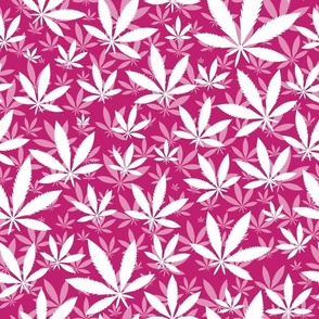 Bigger Scale Marijuana Cannabis Leaves White on Bubblegum Pink