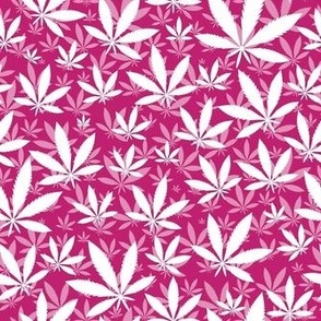 Smaller Scale Marijuana Cannabis Leaves White on Bubblegum Pink