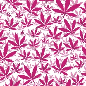 Bigger Scale Marijuana Cannabis Leaves Bubblegum Pink on White