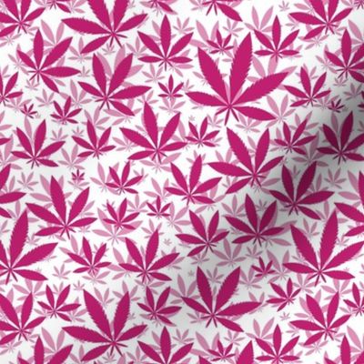 Smaller Scale Marijuana Cannabis Leaves Bubblegum Pink on White