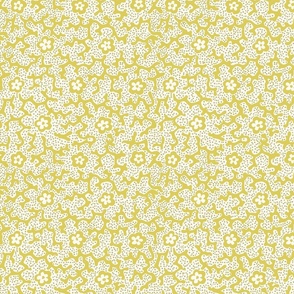 Coral Floral Dotted Citron