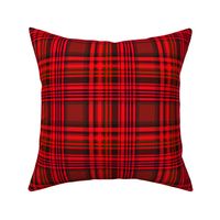 (S) Red and Green_Beautiful Holiday Christmas Plaid
