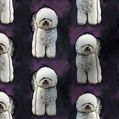 Posing Bichon Frise - purple