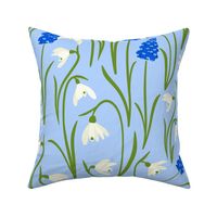(L) Muscari and snowdrop flowers on blue 