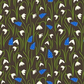 (M) Muscari and snowdrop flowers on brown 