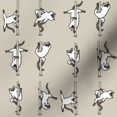 Siamese Cat Pole Dancing Club_8x8