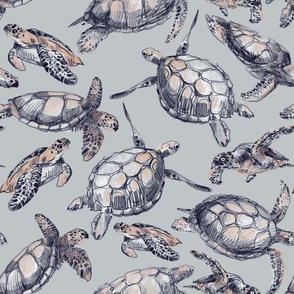 Turtles on light grey