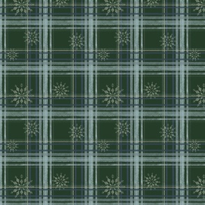 Christmas tartan green/Small (XM23-15)
