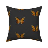 Acrylic Print of a Monarch Butterfly 