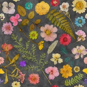 Watercolor Pressed Flowers