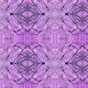 Scratchy Weathered Textures of Lilac - Medium Scale