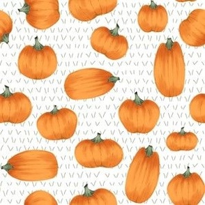 Autumn Pumpkins on White