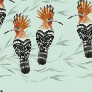 Hoopoe bird design
