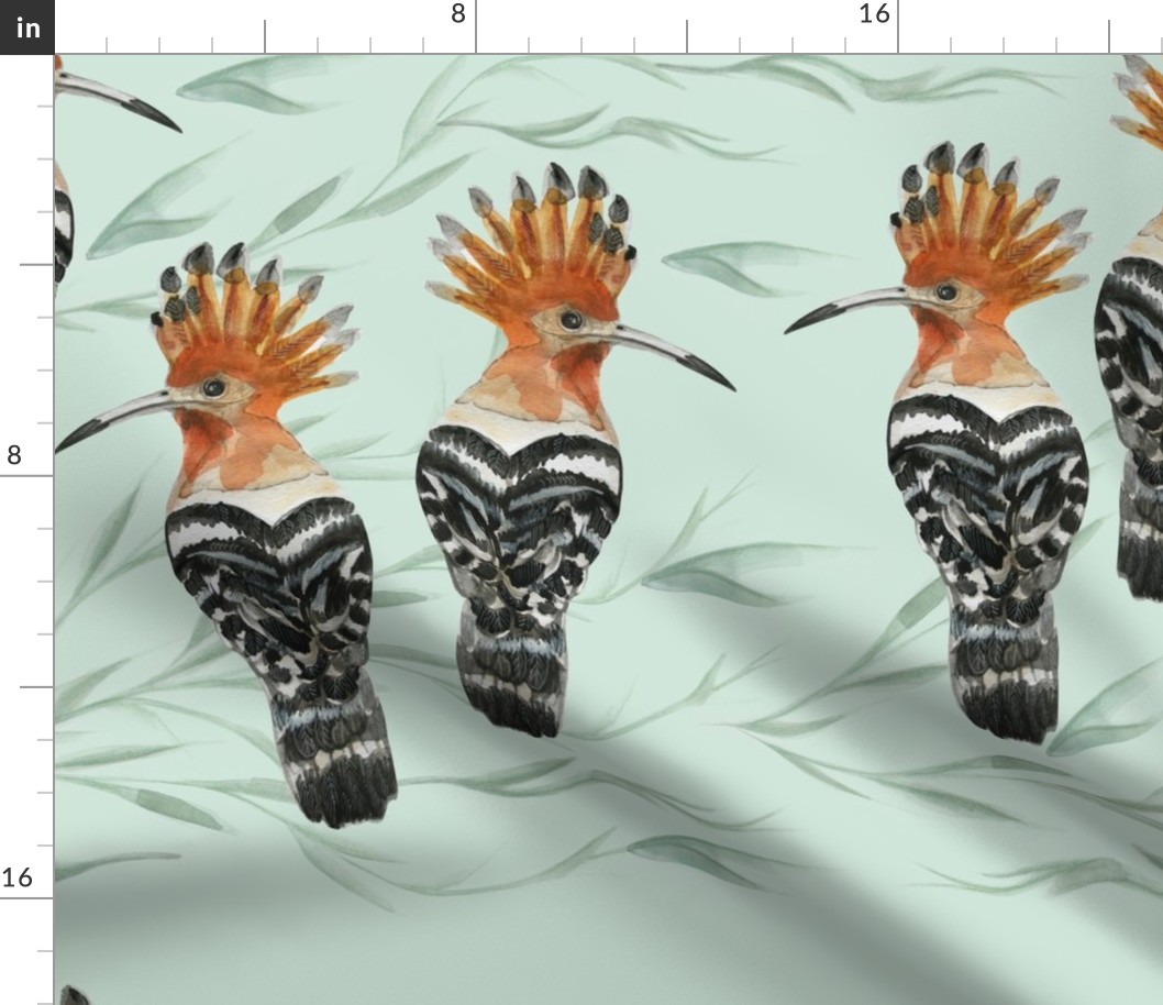Hoopoe bird design