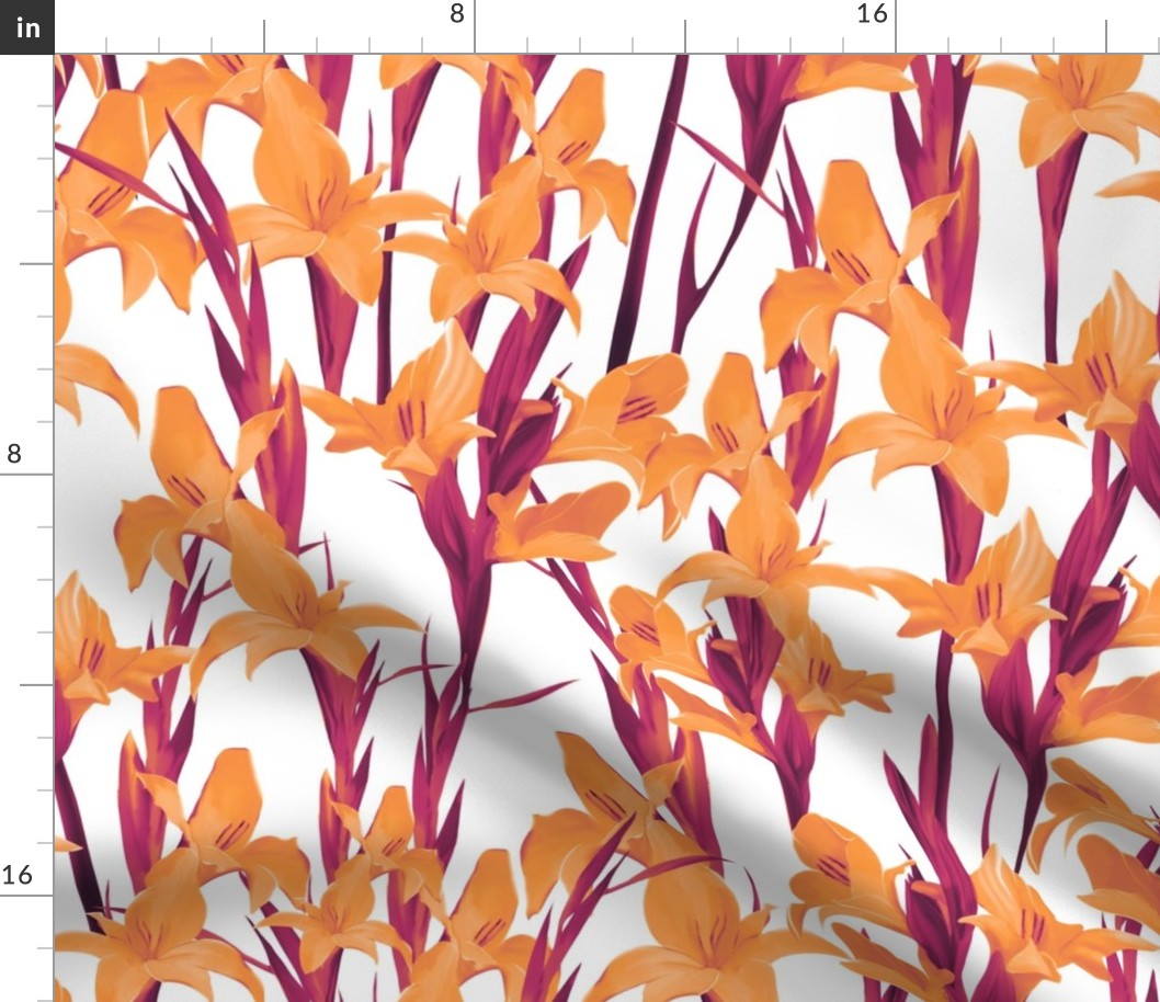 Orange lilies on a white background