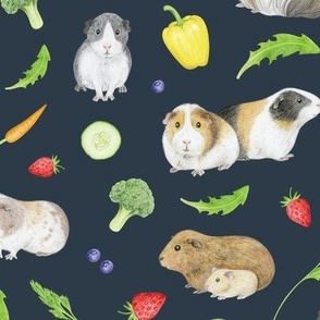 Guinea Pigs with Fruit and Vegetables on dark navy grey - medium scale
