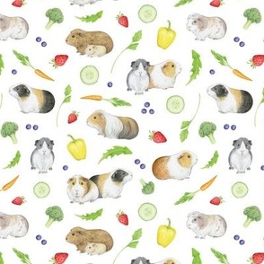 Guinea Pigs with Fruit and Vegetables on white - small scale