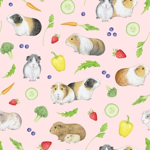 Guinea Pigs with Fruit and Vegetables on blush - medium-large scale