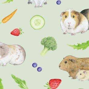 Guinea Pigs with Fruit and Vegetables on willow - jumbo scale