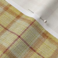 Lost River Jacquard Plaid Rustic Cabin Tourmaline Medium 