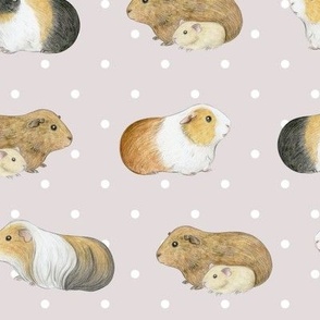 Guinea Pig Rows and Swiss Dot on oyster - medium scale
