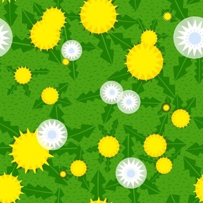 Dandelion Sunshine Meadow-GIANT