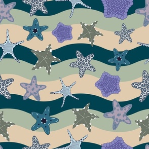 Star fishes
