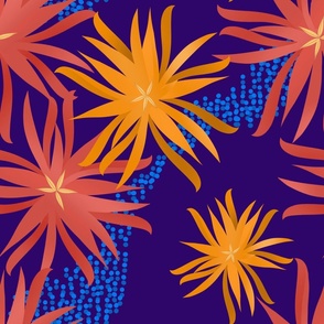 Chrysanthemum - Multicolor