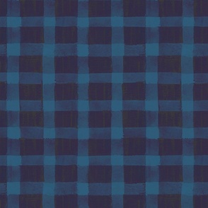 Christmas Day - Vintage washed out plaid in blues L