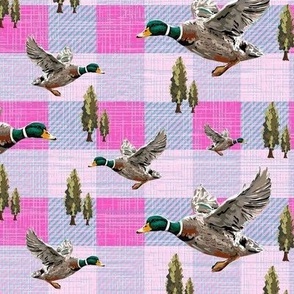 Pink Gingham Check Pattern, Flying Ducks Migrating, Mallard Duck Migration Scene, Girl Farmer