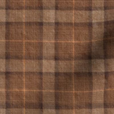 Lost River Jacquard Plaid Rustic Cabin Earth Tones Medium 