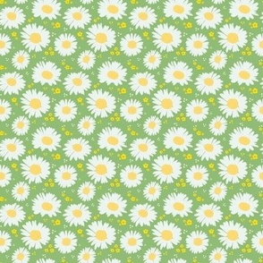 Tossed Spring Daisies on Light Green - Smaller Print