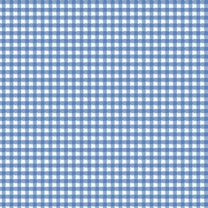 Small Scale Blue Distorted Gingham