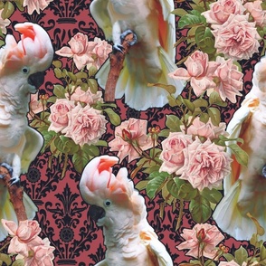 Cockatoos and Roses Damask