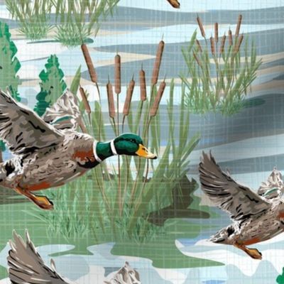 Flying Bird Illustrations, Mallard Birds Migrating Ducks, Lakeside Migration Scene, Emerald Green Bird Feathers, Freshwater Bulrush Riverbed, Medium Scale