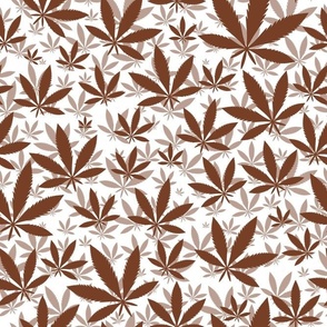 Bigger Scale Marijuana Cannabis Leaves Cinnamon on White