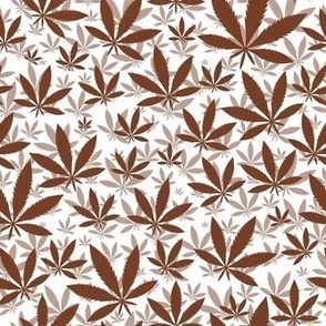 Smaller Scale Marijuana Cannabis Leaves Cinnamon on White