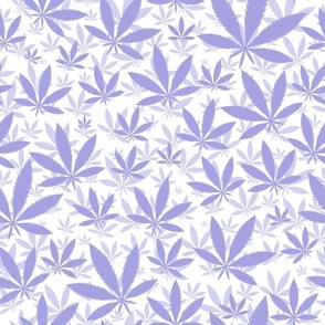 Bigger Scale Marijuana Cannabis Leaves Lilac on White
