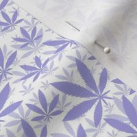 Smaller Scale Marijuana Cannabis Leaves Lilac on White