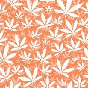 Smaller Scale Marijuana Cannabis Leaves White on Peach