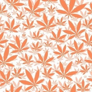 Smaller Scale Marijuana Cannabis Leaves Peach on White